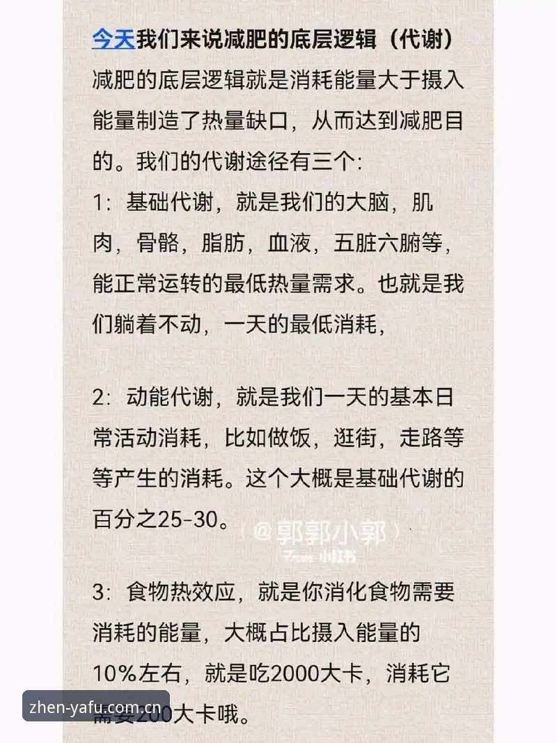 揭秘玩真的体育赛事数据导出：你不是不会，是没搞懂底层逻辑